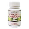 Garcinia Cambogia - Weight Management